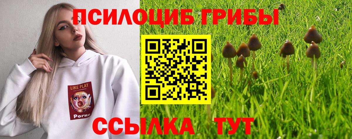 хочу наркоту  Вход с VPN  Дмитров  Псилоцибиновые грибы мицелий  Псилоцибиновые грибы ЛСД 